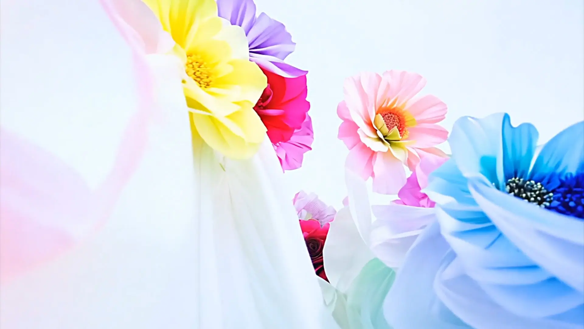 Vibrant Floral Seamless Background for Title Animation